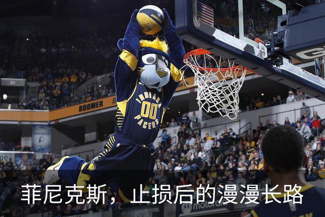 菲尼克斯，止损后的漫漫长路