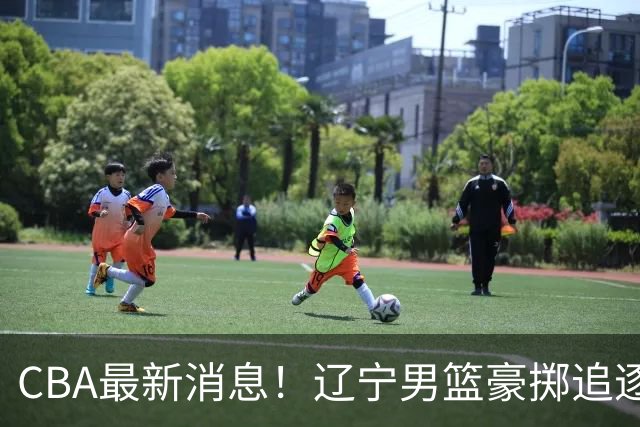 CBA最新消息！辽宁男篮豪掷追逐布朗，胡金秋或遭遇市场冷落